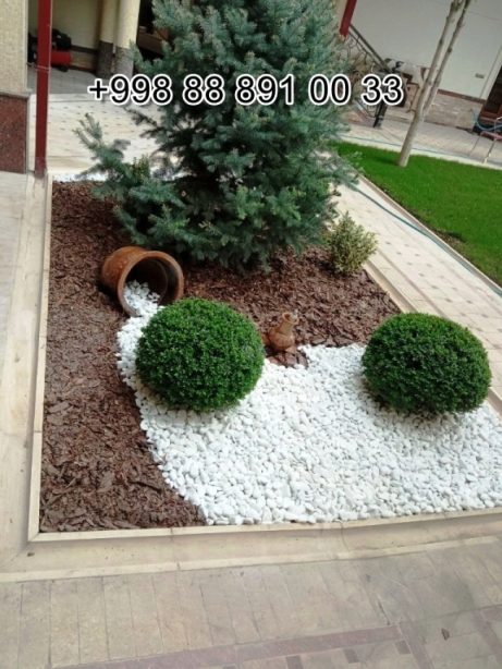  xappay.uz in Khorezm Cost Video Review Photo, xappay.uz in Syrdarya Cost Video Review Photo, xappay.uz in Uzbekistan Price Photo Video Cost ReView, xappay.uz in Namangan Price Photo Video Cost, xappay.uz в Андижане Цена Фото Обзор, xappay.uz in Kashkadarya Cost Video Review Photo, Xorazm xappay.uz Narxi Video Foto Rasm, Qoraqalpog‘iston Nukus xappay.uz Narxi Rasm Video Foto Narxi, xappay.uz Самарканде Цена Фото Обзор, xappay.uz in Surkhandarya Cost Video Review Photo, xappay.uz в Кашкадарье Цена Фото Обзор, xappay.uz Самарканде Цена Фото Обзор, Jizzax xappay.uz Video Narxi Rasm Foto, xappay.uz in Andijan Cost Video Review Photo, xappay.uz Сурхандарье Фото Цена Обзор Видео, Surxondaryo xappay.uz Narxi Rasm Video Foto, xappay.uz Нукусе Цена Фото Обзор, Namangan xappay.uz Video Foto Narxi Rasm, xappay.uz в Ташкенте Узбекистане Цена Фото Обзор, xappay.uz in Nukus Photo Video Cost ReView Price, xappay.uz в Ташкенте Узбекистане Цена Фото Обзор, xappay.uz in Karakalpakstan Nukus Cost Video Review Photo, xappay.uz in Fergana Photo Cost Video Review, Samarqand xappay.uz Foto Narxi Rasm Video Abzor, Qashqadaryo xappay.uz Narxi Rasm Video Foto, xappay.uz Джизаке, xappay.uz Навои Цена Фото Обзор, xappay.uz in Jizzakh Cost Video Review Photo, xappay.uz in Bukhara Cost Video Review Photo, xappay.uz in Navoi Cost Photo Video Review, Nukus xappay.uz Narxi, xappay.uz в Каракалпакистане Нукусе Цена Фото Обзор, xappay.uz in Samarkand Price Photo Video Cost, xappay.uz Хорезме Фото Цена Обзор, Sirdaryo xappay.uz Narxi Rasm Video Abzor Foto, O'zbekiston xappay.uz, Andijon xappay.uz Narxi Rasm Foto Video, Buxoro xappay.uz Video Narxi Rasm Foto, Farg'ona xappay.uz Narxi Video Foto Rasm, rasm, xappay.uz в Бухаре Цена Фото Обзор, Navoiy xappay.uz Video Foto Narxi Rasm, xappay.uz Фергане Фото Цена Обзор, xappay.uz в Сырдарье Цена Фото Обзор, xappay.uz Намангане Цена Фото Обзор 