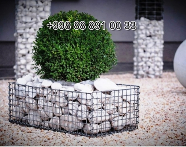  xappay.uz in Syrdarya Cost Video Review Photo, xappay.uz in Fergana Photo Cost Video Review, xappay.uz Сурхандарье Фото Цена Обзор Видео, Xorazm xappay.uz Narxi Video Foto Rasm, xappay.uz Самарканде Цена Фото Обзор, Sirdaryo xappay.uz Narxi Rasm Video Abzor Foto, xappay.uz в Кашкадарье Цена Фото Обзор, xappay.uz in Samarkand Price Photo Video Cost, xappay.uz в Андижане Цена Фото Обзор, xappay.uz Хорезме Фото Цена Обзор, Navoiy xappay.uz Video Foto Narxi Rasm, xappay.uz в Сырдарье Цена Фото Обзор, Nukus xappay.uz Narxi, xappay.uz in Karakalpakstan Nukus Cost Video Review Photo, xappay.uz в Ташкенте Узбекистане Цена Фото Обзор, Qashqadaryo xappay.uz Narxi Rasm Video Foto, Andijon xappay.uz Narxi Rasm Foto Video, Qoraqalpog‘iston Nukus xappay.uz Narxi Rasm Video Foto Narxi, Buxoro xappay.uz Video Narxi Rasm Foto, xappay.uz in Andijan Cost Video Review Photo, O'zbekiston xappay.uz, xappay.uz Джизаке, xappay.uz в Ташкенте Узбекистане Цена Фото Обзор, xappay.uz в Бухаре Цена Фото Обзор, Samarqand xappay.uz Foto Narxi Rasm Video Abzor, xappay.uz in Uzbekistan Price Photo Video Cost ReView, xappay.uz Намангане Цена Фото Обзор, xappay.uz in Kashkadarya Cost Video Review Photo, Farg'ona xappay.uz Narxi Video Foto Rasm, rasm, xappay.uz Нукусе Цена Фото Обзор, xappay.uz Фергане Фото Цена Обзор, xappay.uz in Jizzakh Cost Video Review Photo, xappay.uz in Bukhara Cost Video Review Photo, xappay.uz in Surkhandarya Cost Video Review Photo, xappay.uz Навои Цена Фото Обзор, xappay.uz in Nukus Photo Video Cost ReView Price, xappay.uz in Navoi Cost Photo Video Review, xappay.uz in Namangan Price Photo Video Cost, xappay.uz в Каракалпакистане Нукусе Цена Фото Обзор, Namangan xappay.uz Video Foto Narxi Rasm, xappay.uz in Khorezm Cost Video Review Photo, xappay.uz Самарканде Цена Фото Обзор, Jizzax xappay.uz Video Narxi Rasm Foto, Surxondaryo xappay.uz Narxi Rasm Video Foto 