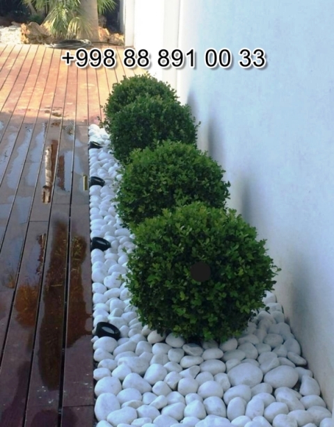  Navoiy xappay.uz Video Foto Narxi Rasm, xappay.uz в Андижане Цена Фото Обзор, Andijon xappay.uz Narxi Rasm Foto Video, Surxondaryo xappay.uz Narxi Rasm Video Foto, xappay.uz Намангане Цена Фото Обзор, Jizzax xappay.uz Video Narxi Rasm Foto, xappay.uz в Кашкадарье Цена Фото Обзор, xappay.uz in Fergana Photo Cost Video Review, xappay.uz Хорезме Фото Цена Обзор, xappay.uz in Uzbekistan Price Photo Video Cost ReView, Farg'ona xappay.uz Narxi Video Foto Rasm, rasm, xappay.uz Сурхандарье Фото Цена Обзор Видео, xappay.uz в Каракалпакистане Нукусе Цена Фото Обзор, Qoraqalpog‘iston Nukus xappay.uz Narxi Rasm Video Foto Narxi, xappay.uz Самарканде Цена Фото Обзор, xappay.uz Навои Цена Фото Обзор, xappay.uz in Surkhandarya Cost Video Review Photo, Nukus xappay.uz Narxi, O'zbekiston xappay.uz, xappay.uz in Karakalpakstan Nukus Cost Video Review Photo, xappay.uz in Syrdarya Cost Video Review Photo, xappay.uz в Бухаре Цена Фото Обзор, xappay.uz in Nukus Photo Video Cost ReView Price, xappay.uz in Bukhara Cost Video Review Photo, xappay.uz in Jizzakh Cost Video Review Photo, Qashqadaryo xappay.uz Narxi Rasm Video Foto, xappay.uz Самарканде Цена Фото Обзор, Buxoro xappay.uz Video Narxi Rasm Foto, xappay.uz Нукусе Цена Фото Обзор, Samarqand xappay.uz Foto Narxi Rasm Video Abzor, xappay.uz in Khorezm Cost Video Review Photo, Xorazm xappay.uz Narxi Video Foto Rasm, xappay.uz in Namangan Price Photo Video Cost, xappay.uz Фергане Фото Цена Обзор, xappay.uz в Ташкенте Узбекистане Цена Фото Обзор, xappay.uz in Kashkadarya Cost Video Review Photo, Namangan xappay.uz Video Foto Narxi Rasm, xappay.uz в Ташкенте Узбекистане Цена Фото Обзор, xappay.uz in Andijan Cost Video Review Photo, xappay.uz в Сырдарье Цена Фото Обзор, xappay.uz in Navoi Cost Photo Video Review, Sirdaryo xappay.uz Narxi Rasm Video Abzor Foto, xappay.uz Джизаке, xappay.uz in Samarkand Price Photo Video Cost 